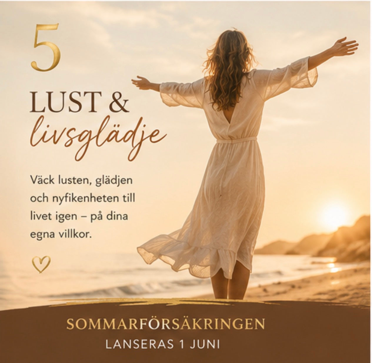 SOMMARFÖRSÄKRINGEN 30 dagars digital transformation