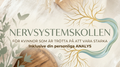 Nervsystemskollen – för dig som är trött på att vara stark